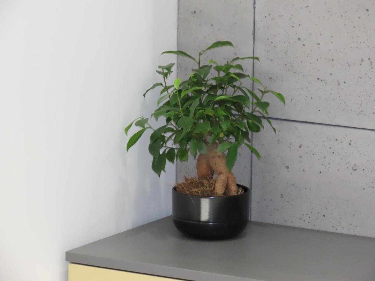 El Apartments - Polaris Poznań Eksteriør bilde
